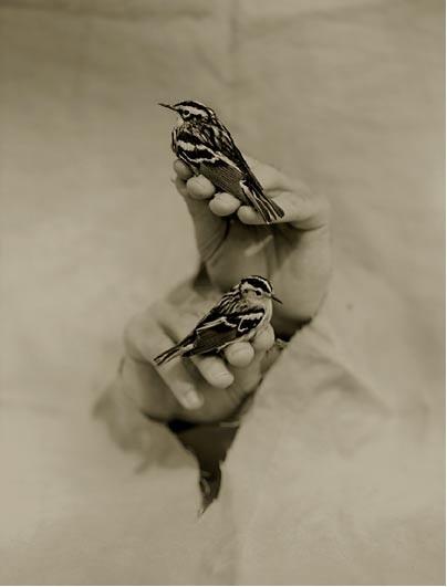 "Las personas no cambian con el tiempo, el tiempo te muestra lo que en realidad son."