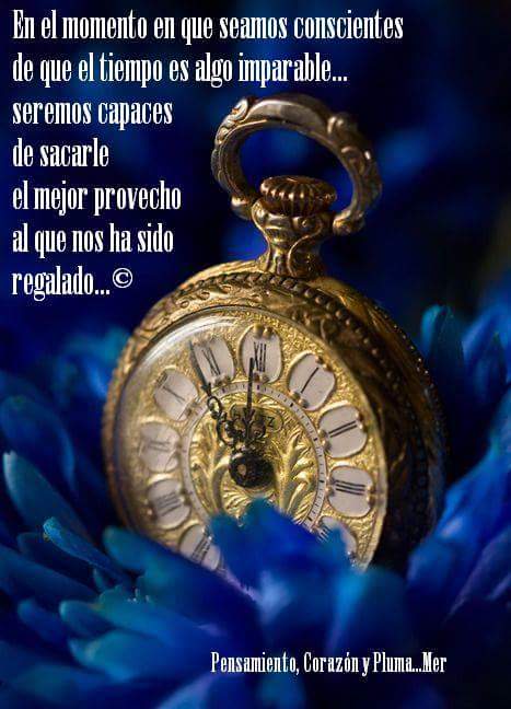 Bienvenidos al nuevo foro de apoyo a Noe #265 / 07.06.15 ~ 11.06.15 - Página 12 CG76mqoWQAECb4u