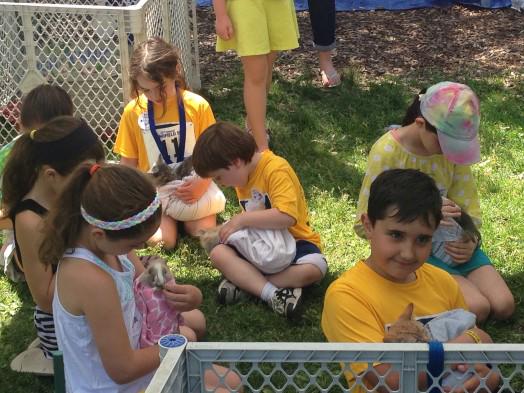 swellesley's tweet image. Beautiful day for Schofield #roadrace, fun fair in #Wellesley ow.ly/NZymQ