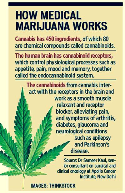 NorCalStoner420's tweet photo. Educate🎓Regulate💰Medicate🍁
#legalizeit #cannabiscures #mmj http://t.co/z4udJaOmz9