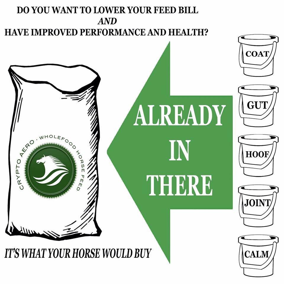 crypto_aero's tweet photo. http://t.co/rkDwJQWdvv