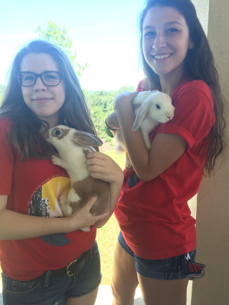 amandaaac23's tweet photo. nbd but these bunnies were in the Uma Thurman music video 😍😍 #Travisso #LHSTheatre http://t.co/KHTIg0nkXK