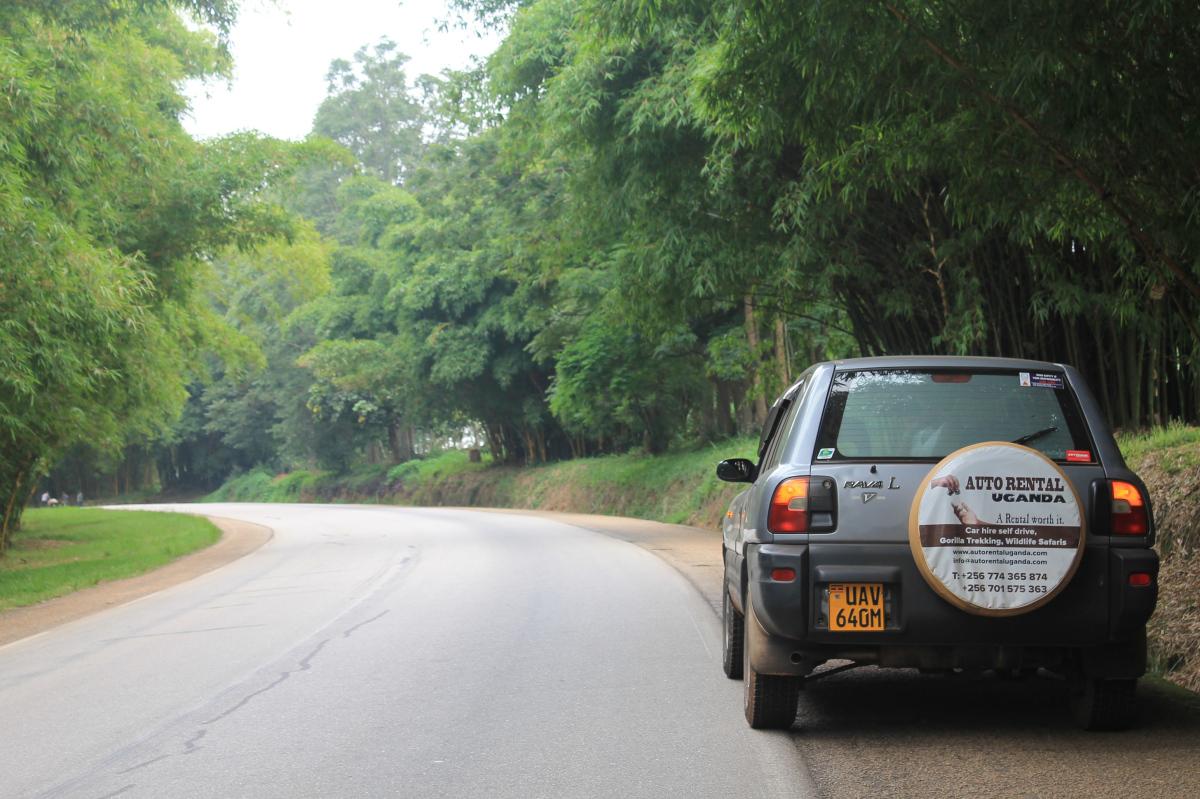 gorillatrecking's tweet photo. Kampala: The capital city of Uganda. https://t.co/jW7UOenSFV http://t.co/Gh3iJaWeS6