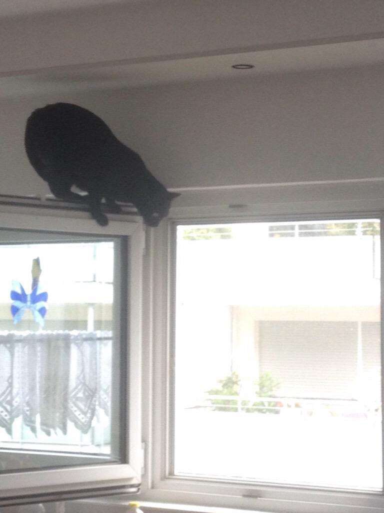 C: Machmal will ich hoch hinaus