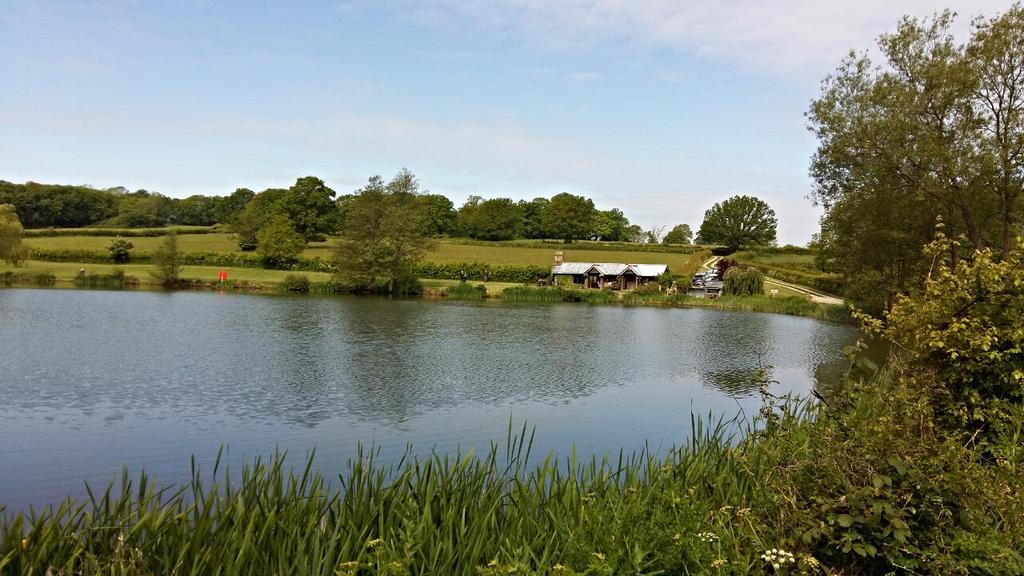 The fishery is looking great....well worth a visit! #fishing #fisherman # summer #beautifulday #corporateday