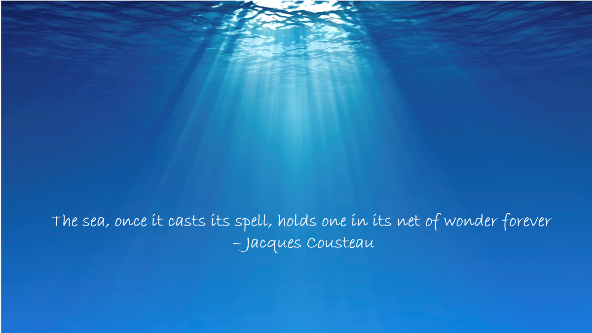 StephGGardner's tweet photo. Happy World Oceans Day! @worldoceansday @CelebrateOceans #WorldOceansDay #BlueOceanSummit @BlueOceanSummit http://t.co/pTDHBherXT