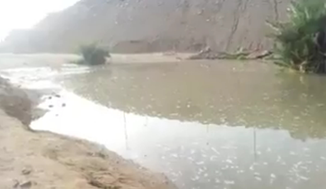 Duba_Saudi tweet picture