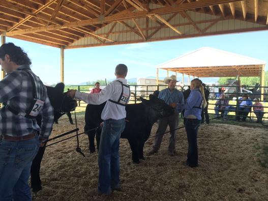 KirkStierwalt's tweet photo. awesome day2@Clayton, Wa. Thx 2 a great job@alyxhanson42 for a fantastic job! #Buildaprogram #feed2win @AndisCompany http://t.co/BRc8CsDCyr