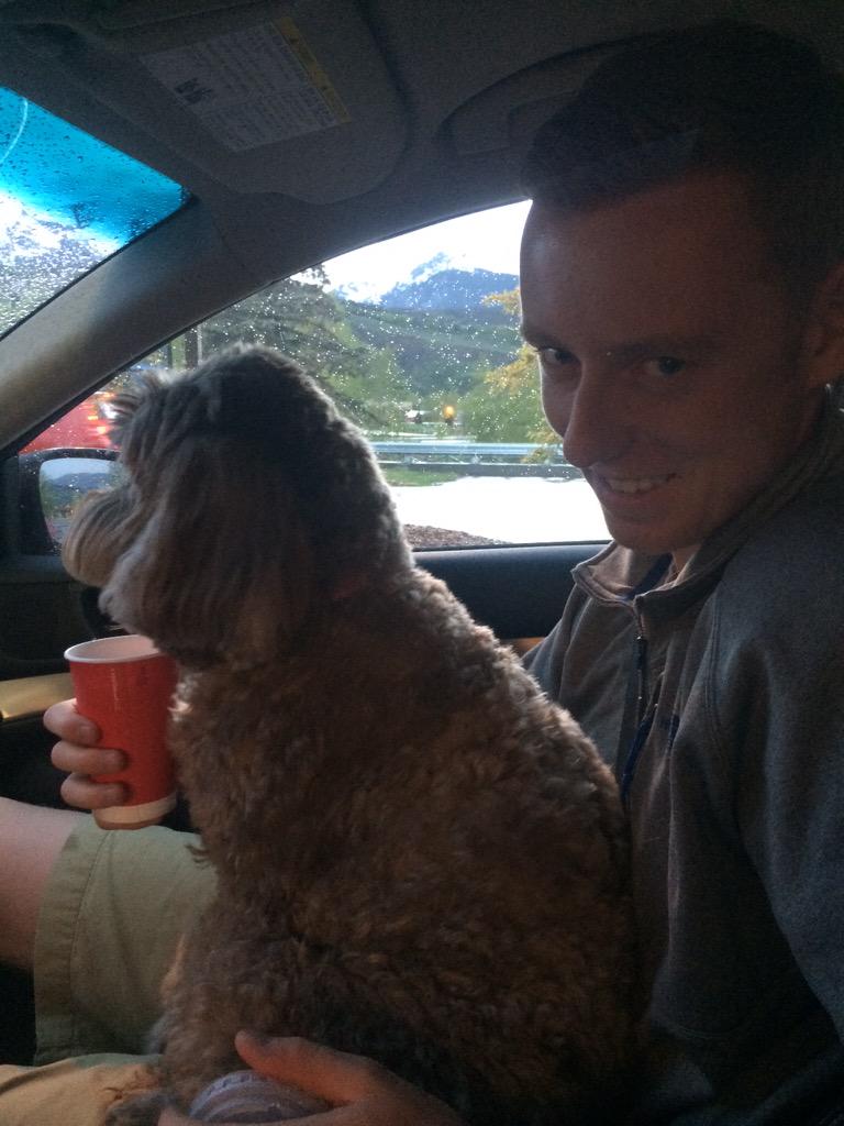 GingeHasNoSoul's tweet photo. #doggies rule 😏😉 http://t.co/CU7xyBVINX
