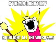 katiebudzPT's tweet image. My life right now. #ptschoolproblems