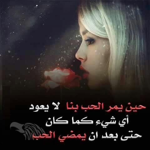 3140944 tweet picture