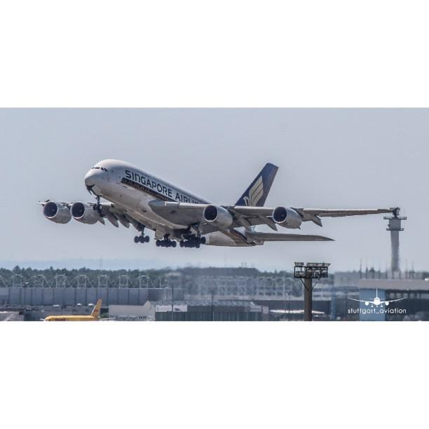 MEGA TEAM FAVORITE PIC. Singapore A380 liftingoff to Jfk!
➖➖➖ Aircraft✈ : A380-800
Route: FRA-JFK
Reg🆔:???
Location…