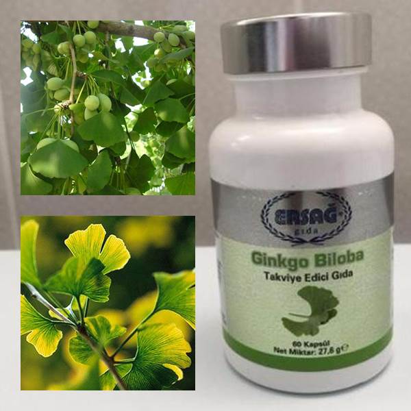 d_irdem's tweet photo. #GinkgoBiloba #ersağ http://t.co/zHo2rmHmBN
