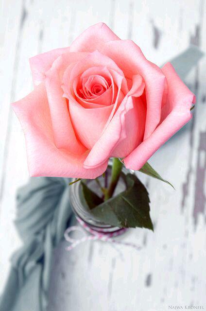 هل عندكِ شكّ ..
أن دخولك في قلبي ..
هو أعظمُ يومٍ في التاريخ ..
وأجمل خَبَرٍ في الدُنيا