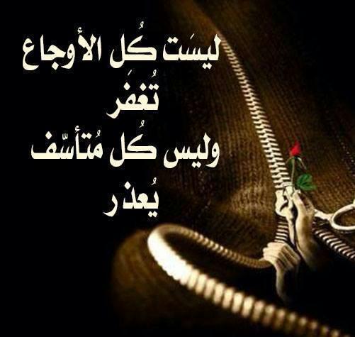 3140944 tweet picture