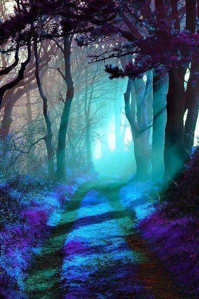 nedthetoothpik's tweet photo. http://t.co/8jGvFUHPZE