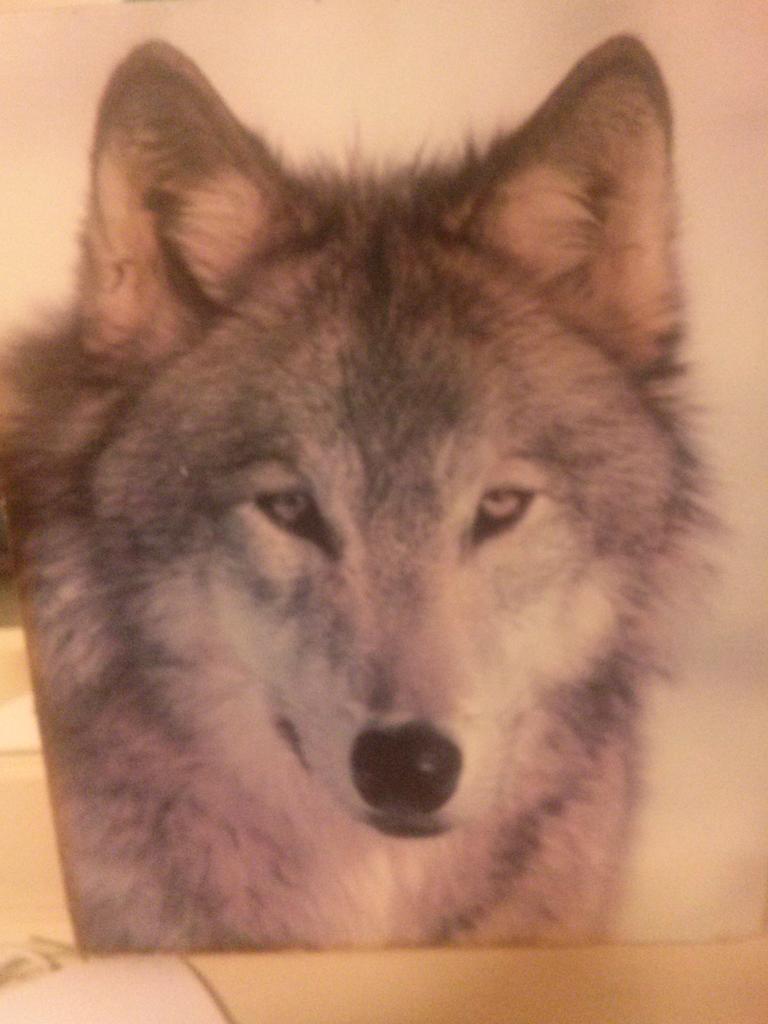 GrabielGo tweet picture