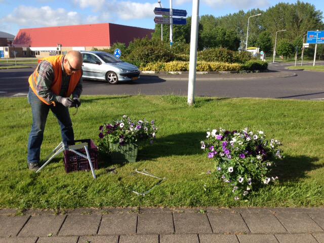 Vandaag wordt #Grou voorzien van prachtige bloembaskets. Zo wordt "De Rode Loper" van Gastvrij Grou 2015 uitgelegd.
