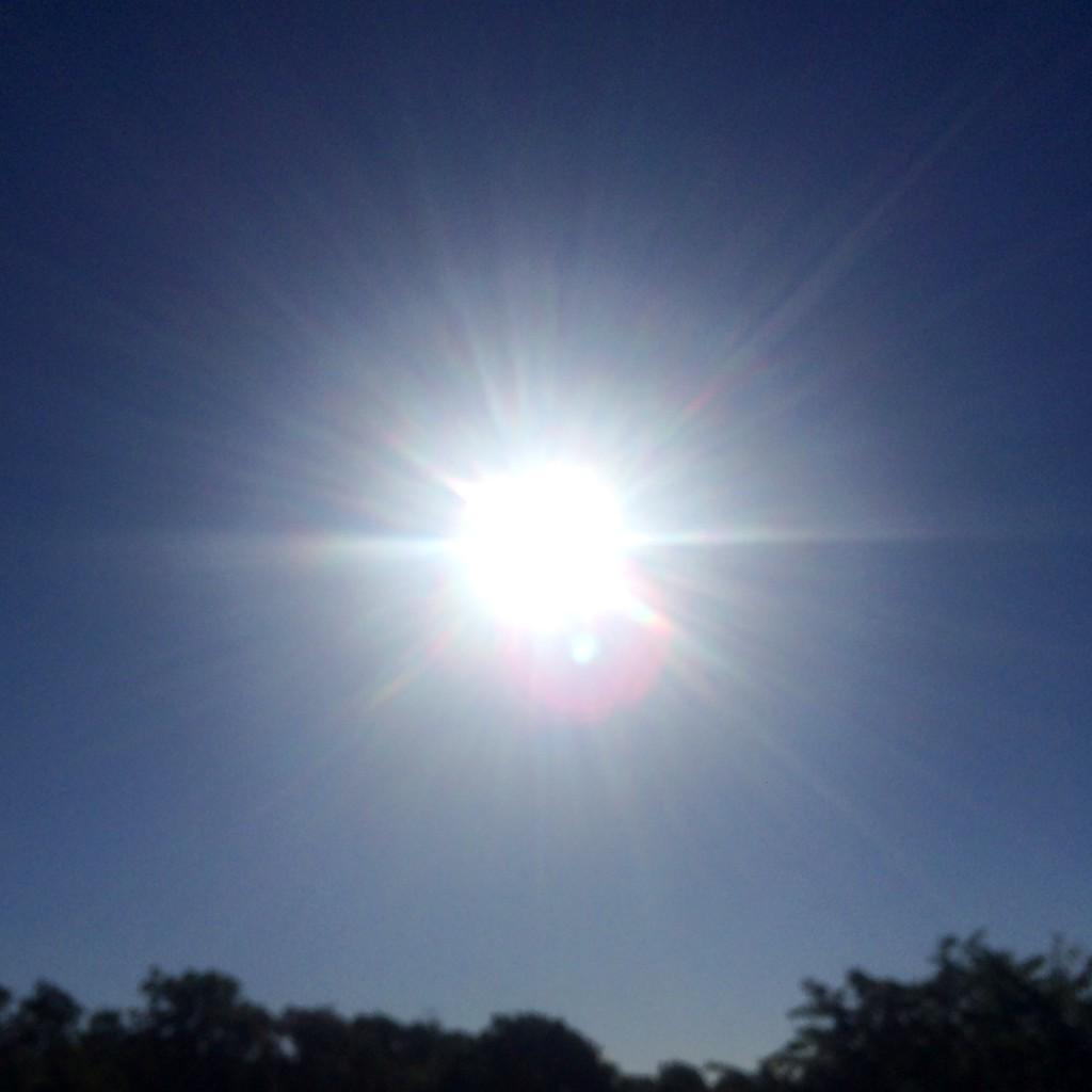 Always4everHome's tweet image. #beautiful #morning here in #Tenterden today ☀️☀️ Have a lovely day ❤️ #alwaysandforever alwaysandforeverhome.co.uk