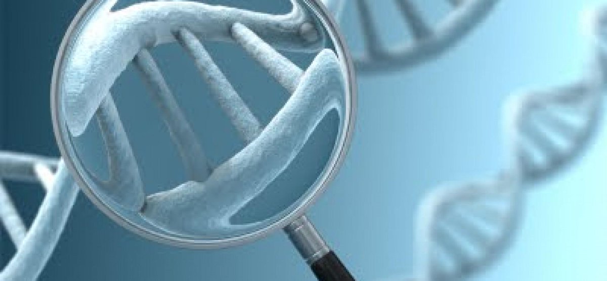 MisCromosomas's tweet photo. Los genes que han sufrido procesos de mutación y han dejado de ser funcionales se denominan pseudogenes. http://t.co/MBVcZSbHTK