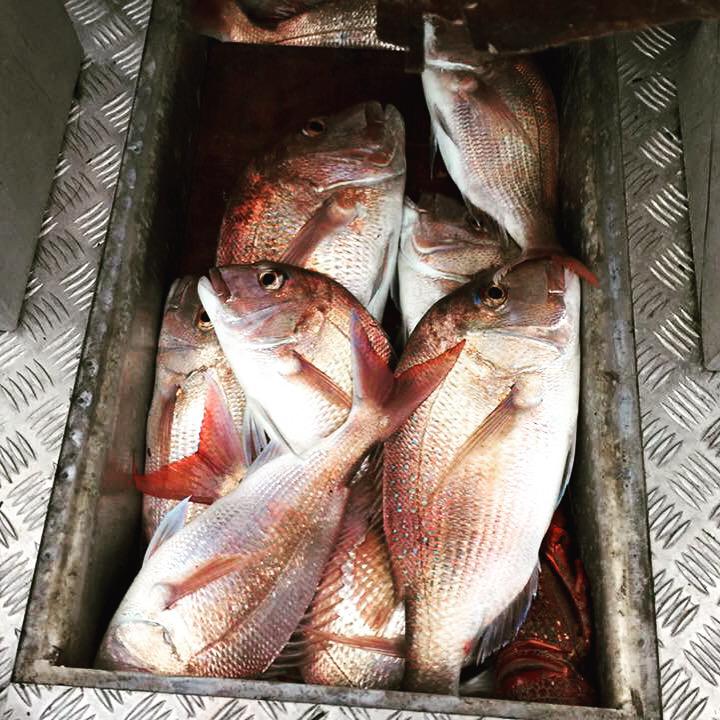 Fishing? Overrated...