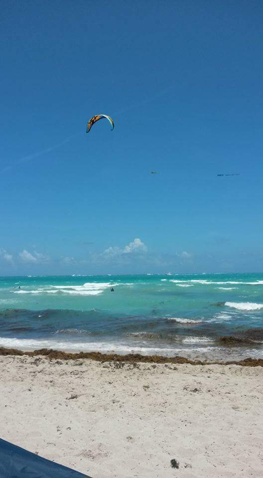 mjoo0482's tweet photo. Good winds for kitesurfing this morning #skybanditz #25streetkitesurfing #miamikiter #eatsleepkiterepeat #fukaverage http://t.co/ElVonfRZNU