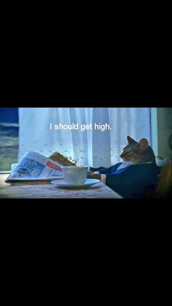 CannabisComando's tweet photo. Morning vibes http://t.co/dcZB37jApD