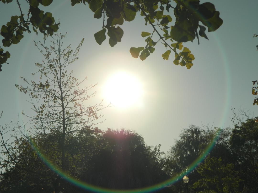 Kgod1984's tweet image. Super close sunshine state, sun anomalies. #editfree #nophotoshop      photos by @Kgod1984