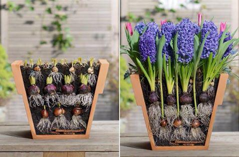 TuinTulpen's tweet photo. Deel dit verrukkelijke lasagnegerecht met al je vrienden! Zie onze collectie op http://t.co/6jvT3mUEj2 http://t.co/XtJoQdJpAO