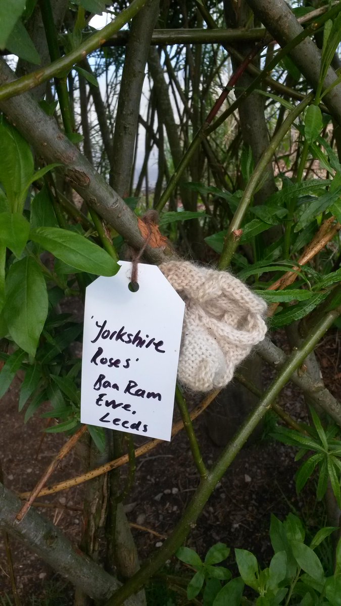 SallyParrini's tweet photo. @baarameweknits just had a lovely walk around Talkin Tarn near Carlisle. Lovely to see you there! http://t.co/vVS3lTsgPP