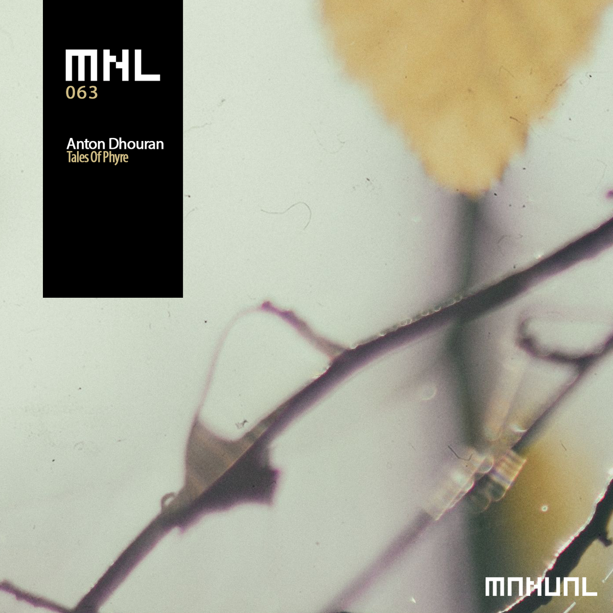 Promo Hutt tweet media