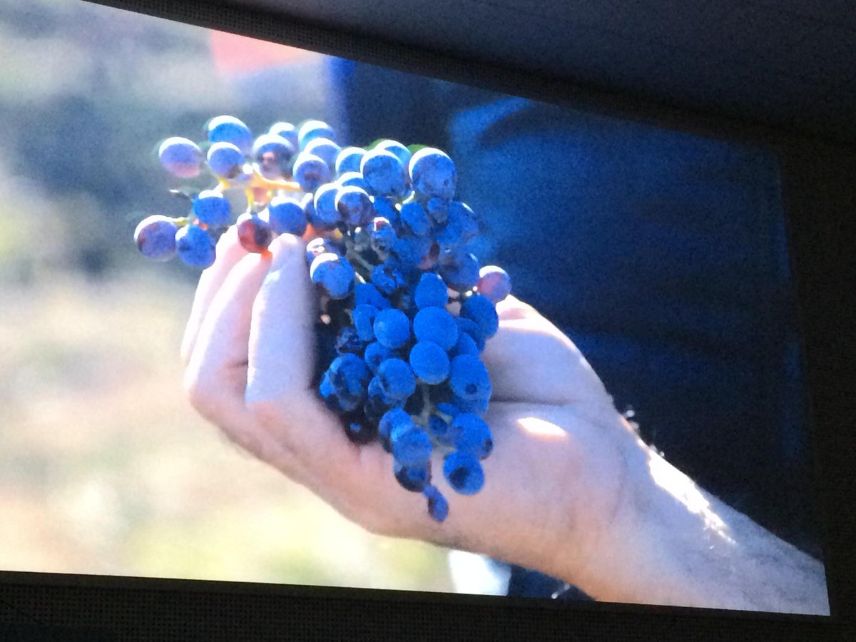 vite2vino's tweet photo. #tracciabilità #vino #expo2015 http://t.co/C3JrXjfbWT