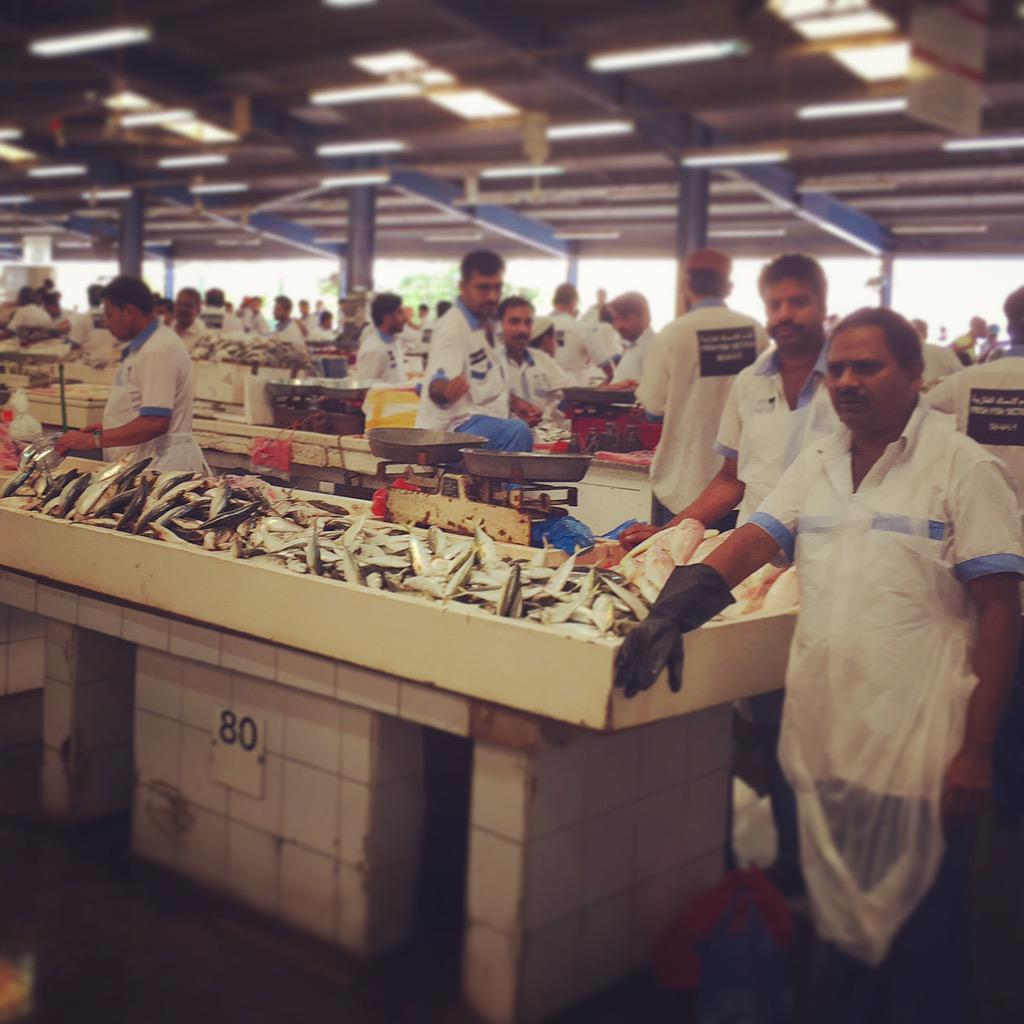 curiositymaluli's tweet photo. Souk de pescados, uno de los pocos lugares de Dubai donde no me siento en Epcot Center. http://t.co/pCvq6qgNY9