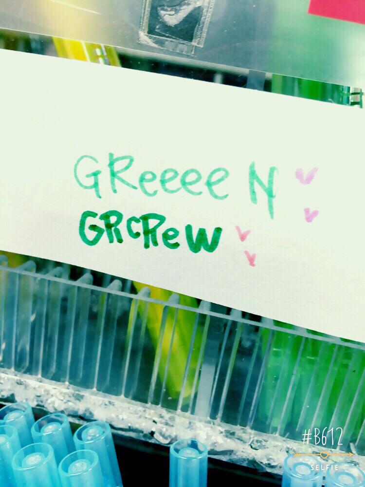 みずっくま Grcrew mizukkuma Twitter みずっくま Grcrew mizukkuma Twitter