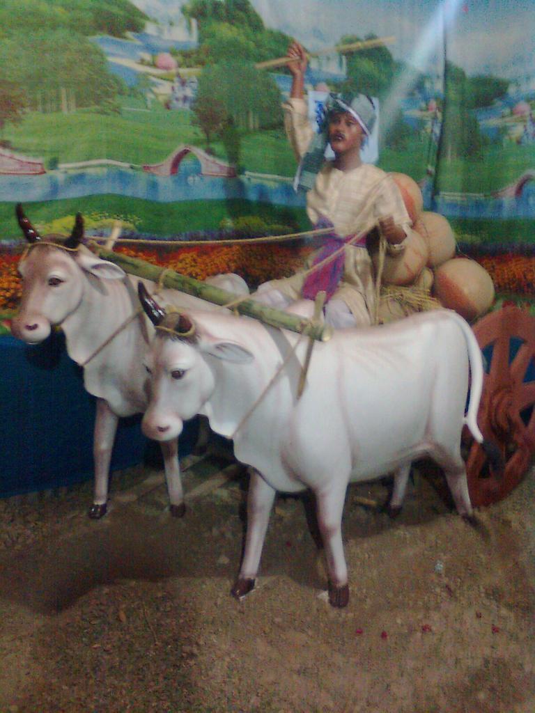 binodmunda30's tweet photo. @Rachrinc http://t.co/dLfuYrSf1y