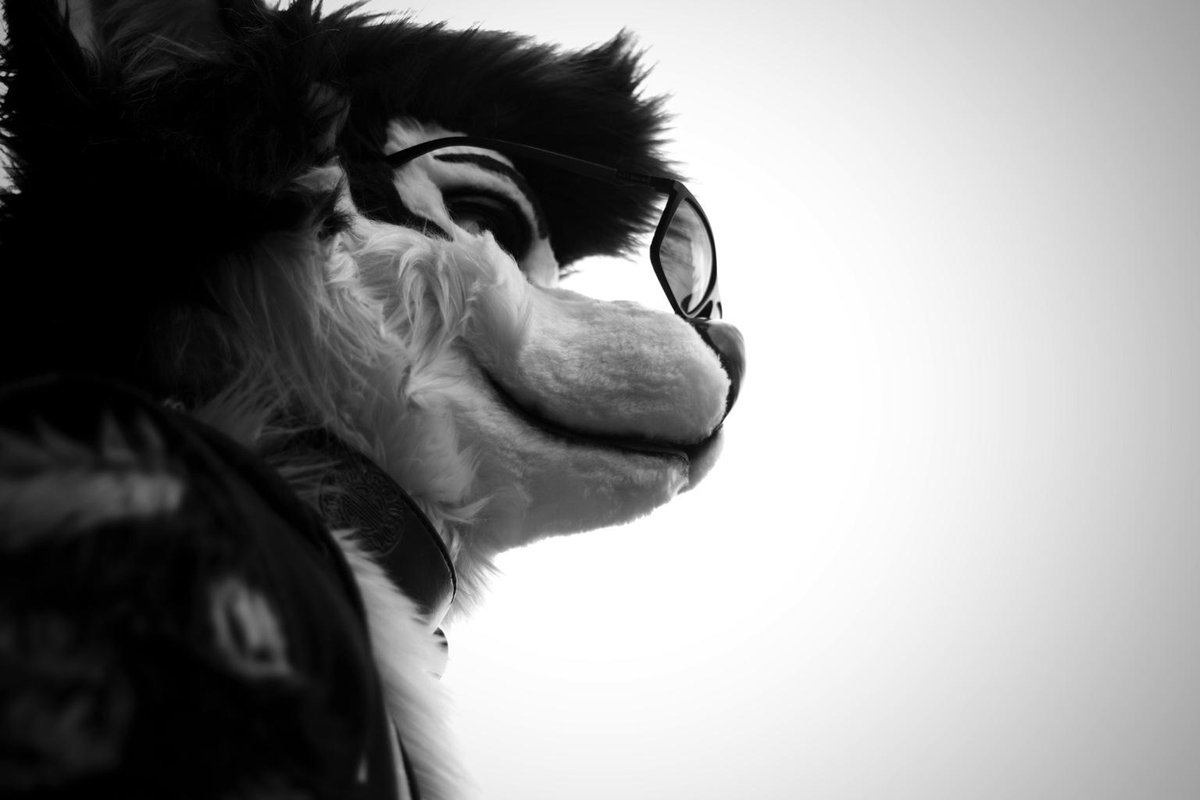 RebeccaFoxo's tweet photo. This should probably have made #ChinCon, featuring @DexterDogy http://t.co/qvUWlfA4v5