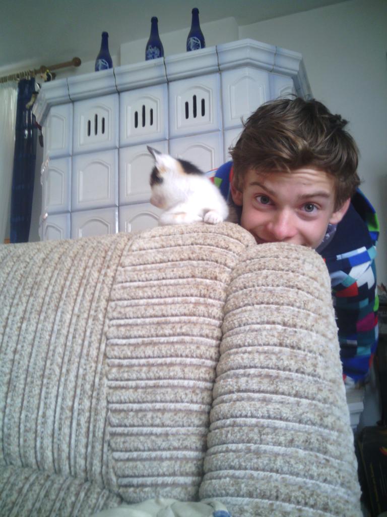 NiklasRauser tweet picture