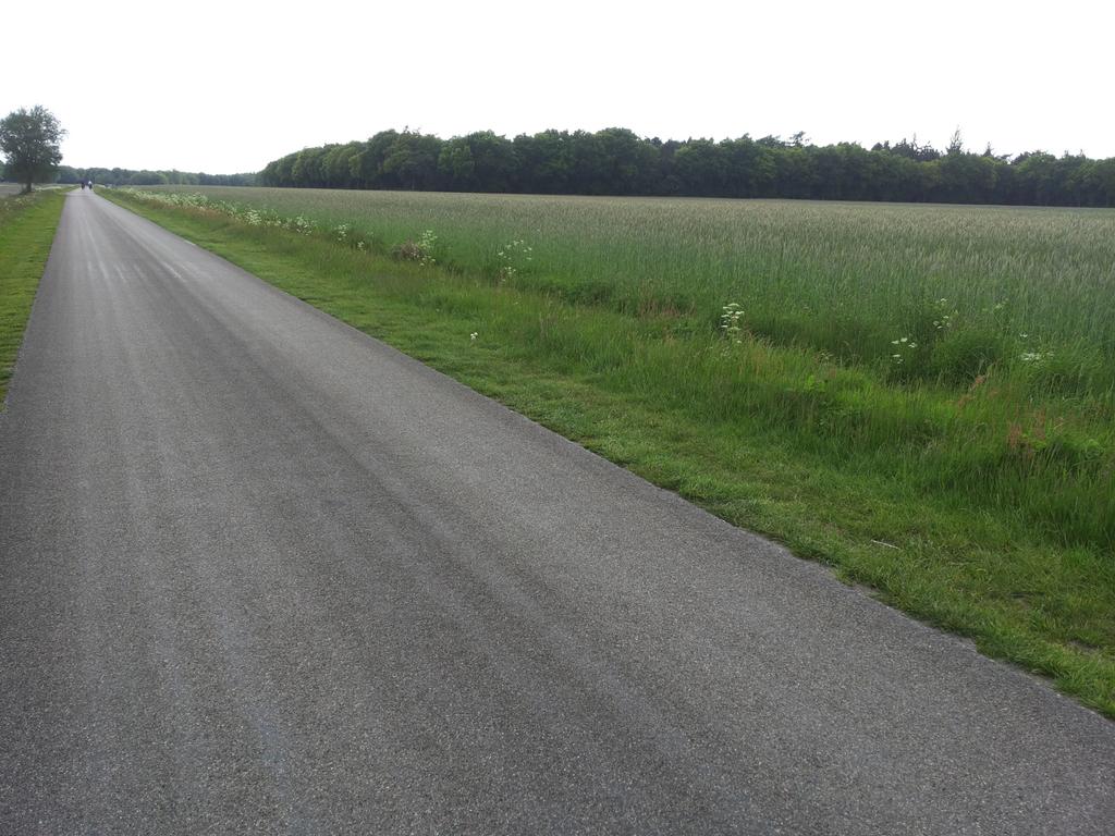 riak1969's tweet photo. Even zorgen voor wat kilometers in de benen voorr #tochtomdenoord. ben nog maar net van huis http://t.co/sJlYio1aID