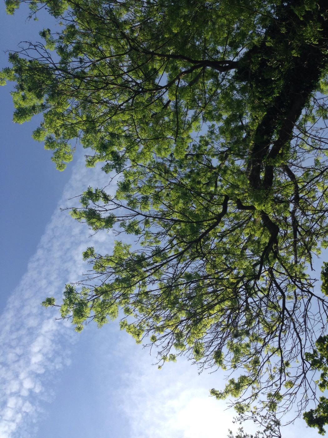 My view today, birthday picnic by the river... Happy Birthday my fellow Gemini xxx  