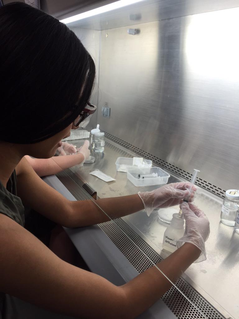 Biotechnology HS tweet media