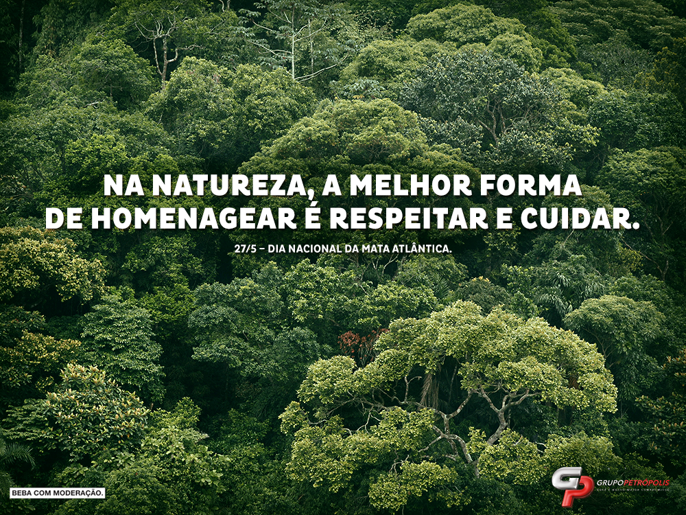 Grupo Petrópolis tweet media