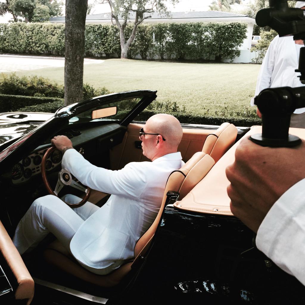 Pitbull tweet media