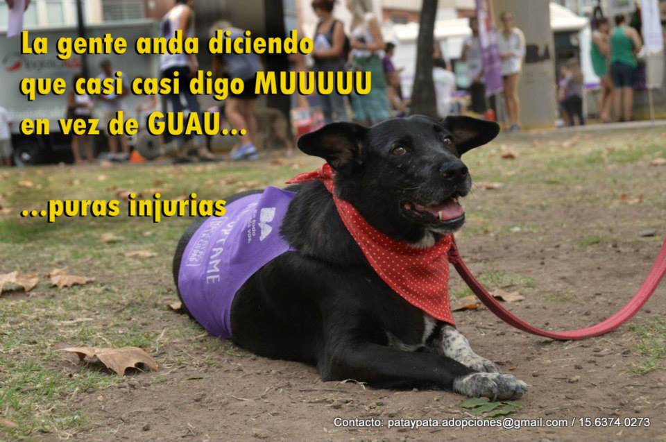 pataypata's tweet photo. #FelizMiercoles Zaira TV RT antes q terminen novelas  @elcampito @Miliiespos @eltreceprensa http://t.co/O9U7vneeP1