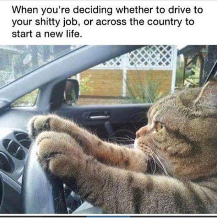 This really speaks to me