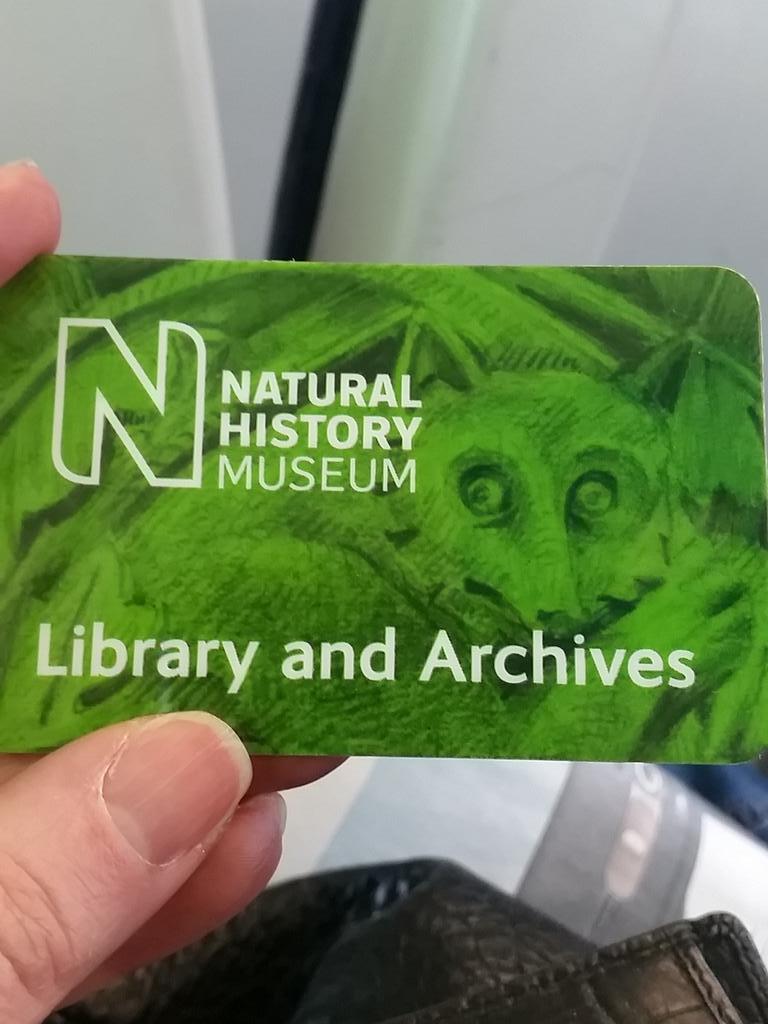 Library cards around the world in pictures Books The Guardian