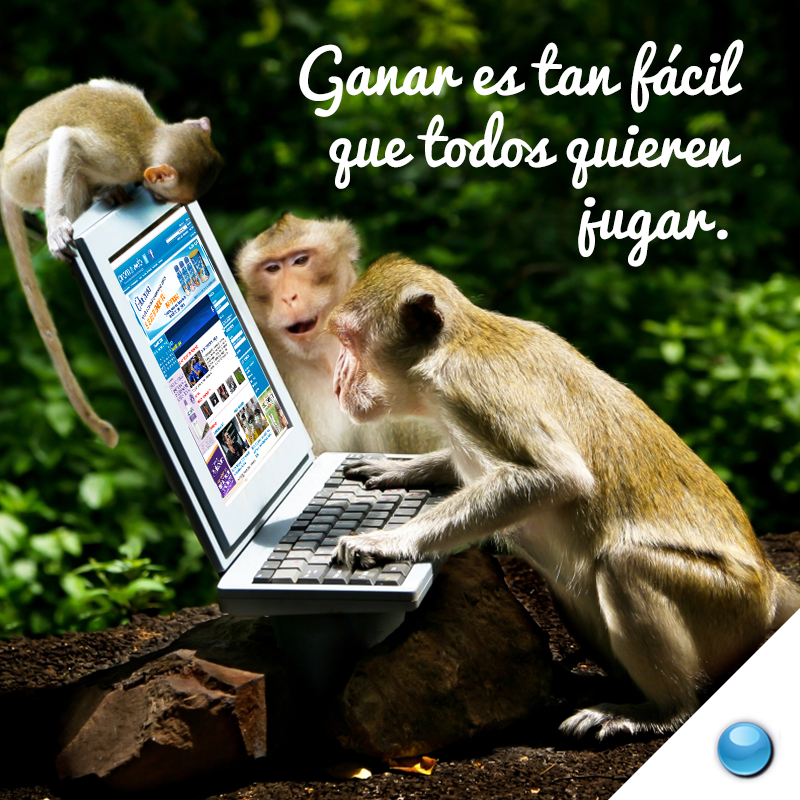 PromoWeb tweet picture