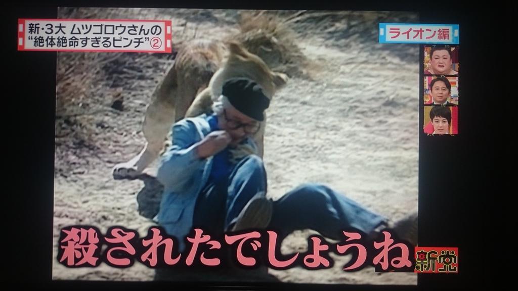 怒り新党 新 ３大 ムツゴロウさんの絶体絶命すぎるピンチ が壮絶すぎて息を呑む人たち 人類最強説 2ページ目 Togetter