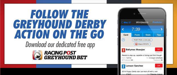 racingpost greyhoundbet