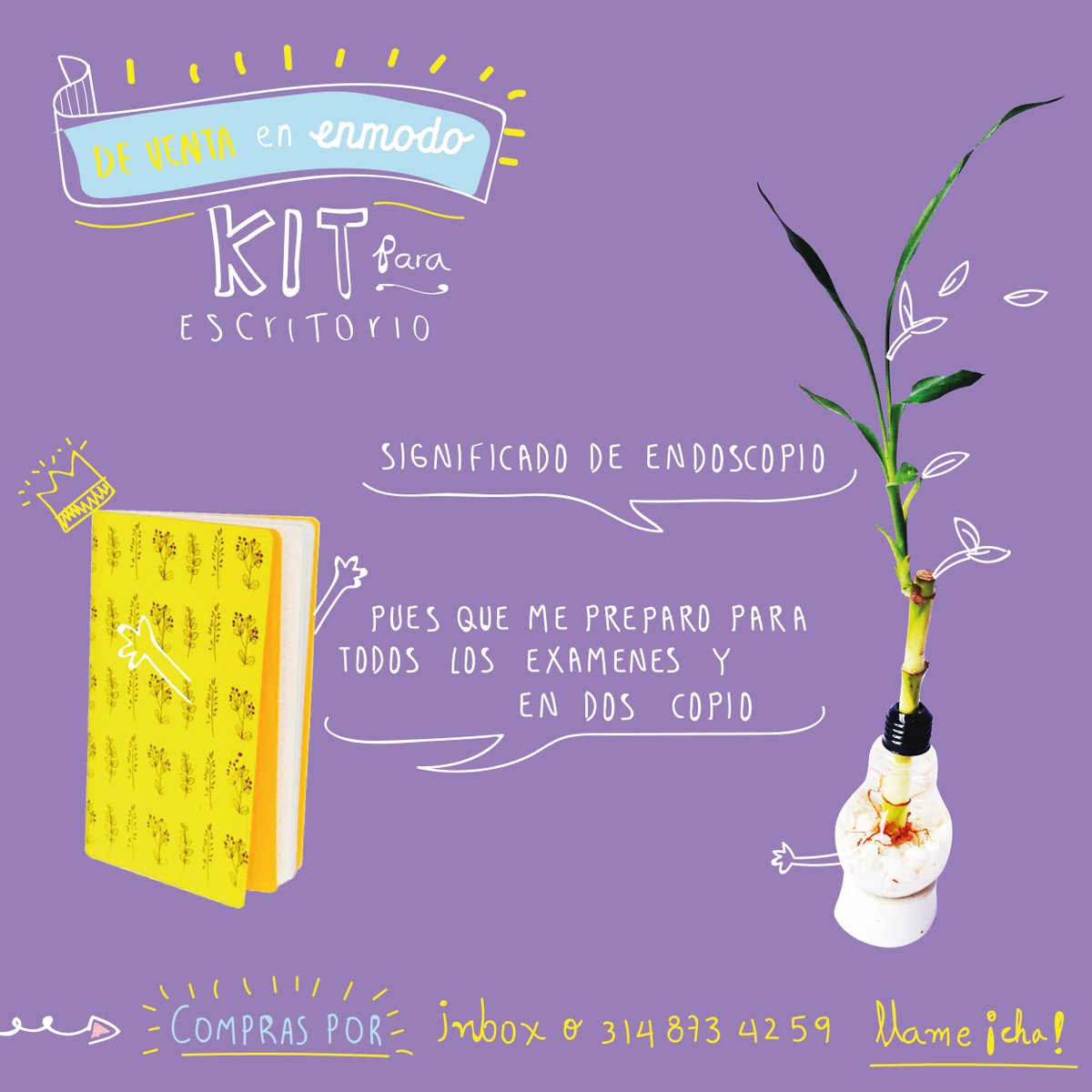 _enmodo's tweet image. **¿Quieres tener este kit ?Cómpralo en ENMODO... &amp;gt; LIBRETA + PLANTA  y dale un estilo diferente a tu lugar de trabajo