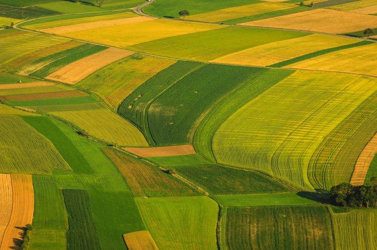 estNATO's tweet photo. #Estonia-based farm management startup #VitalFields has raised $1.2 million http://t.co/Big1HwDh4G http://t.co/WTARYQbRsL